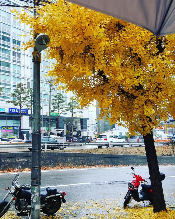Feliz Guesthouse, Seoul Station Exterior foto